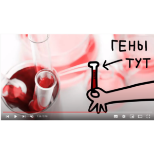Мультфильм «Достоверно о здоровье — в мультфильмах. О донорстве костного мозга»